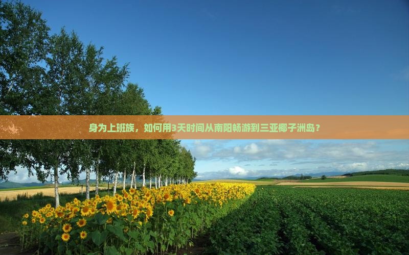 身为上班族，如何用3天时间从南阳畅游到三亚椰子洲岛？