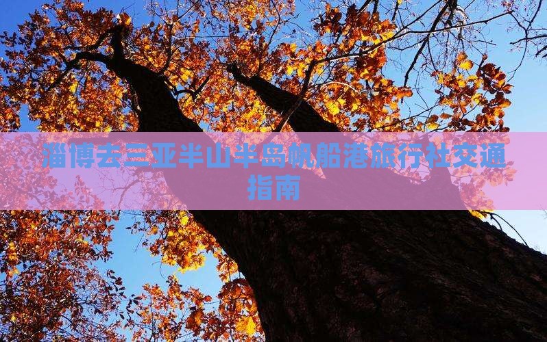 淄博去三亚半山半岛帆船港旅行社交通指南