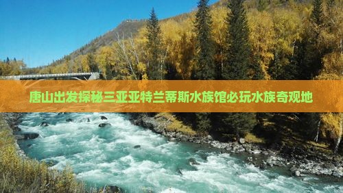 唐山出发探秘三亚亚特兰蒂斯水族馆必玩水族奇观地