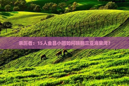 亲历者：15人金昌小团如何嗨翻三亚海棠湾？