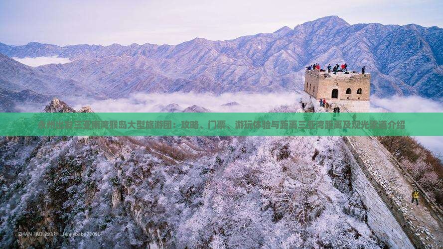 永州出发三亚南湾猴岛大型旅游团：攻略、门票、游玩体验与距离三亚湾距离及观光索道介绍