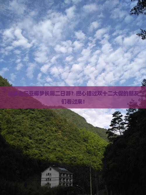 吕梁去三亚椰梦长廊二日游？担心错过双十二大促的朋友们看过来！