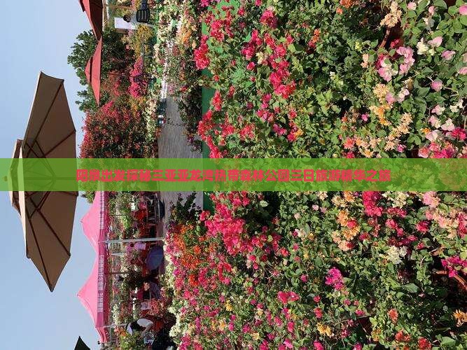 阳泉出发探秘三亚亚龙湾热带森林公园三日旅游精华之旅