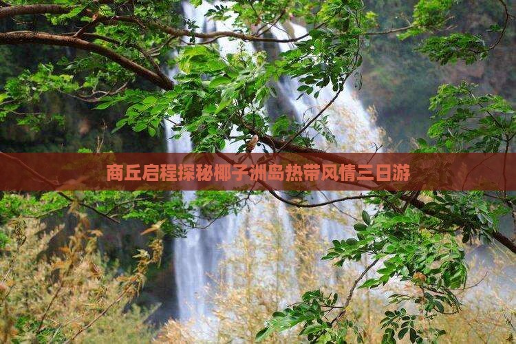 商丘启程探秘椰子洲岛热带风情三日游