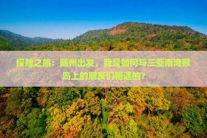 探险之旅：随州出发，我是如何与三亚南湾猴岛上的朋友们相遇的？