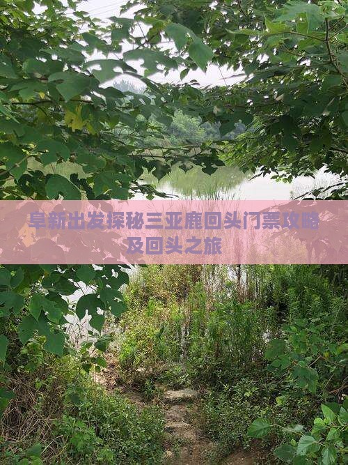 阜新出发探秘三亚鹿回头门票攻略及回头之旅