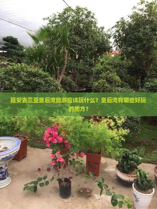 延安去三亚皇后湾旅游应该玩什么？皇后湾有哪些好玩的地方？