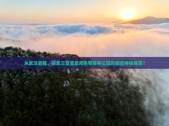 从武汉启程，探索三亚亚龙湾热带森林公园的哪些神秘角落？