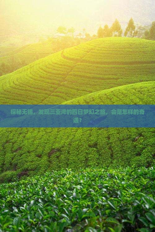 探秘无锡，发现三亚湾的四日梦幻之旅，会是怎样的奇遇？