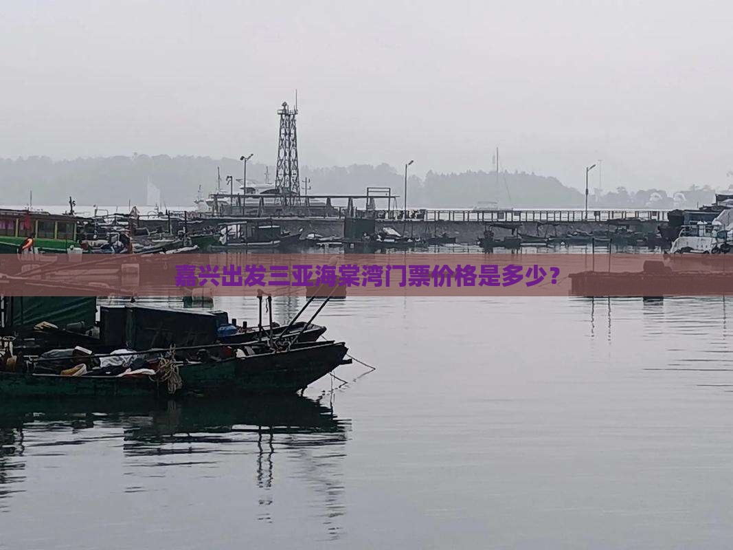 嘉兴出发三亚海棠湾门票价格是多少？