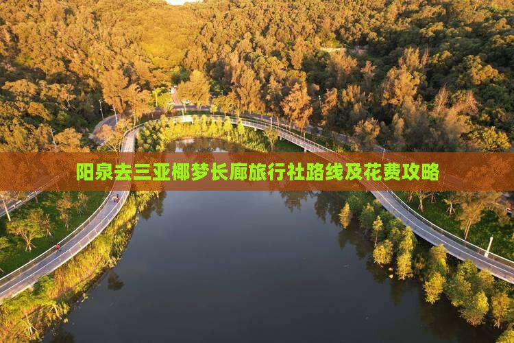 阳泉去三亚椰梦长廊旅行社路线及花费攻略