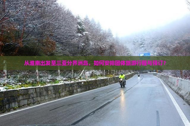 从淮南出发至三亚分界洲岛，如何安排团体旅游行程与预订？