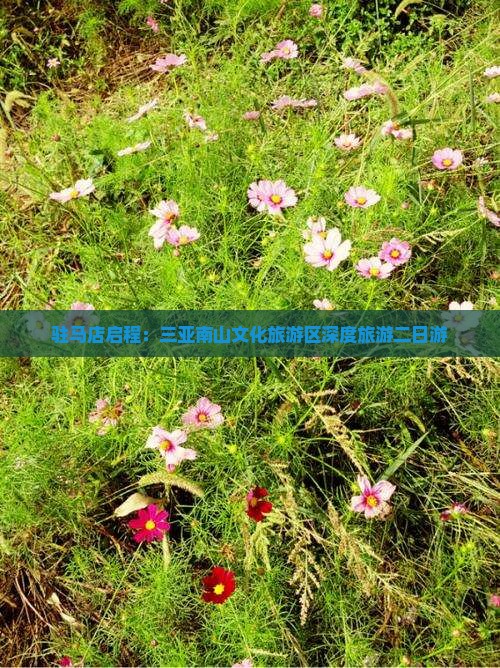 驻马店启程：三亚南山文化旅游区深度旅游二日游