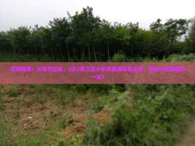 吃货视角：从毕节出发，3天2夜三亚小东海美食探秘之旅，哪些小吃最值得一试？