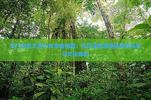 天门出发三亚小东海自由团：五日深度游涵盖海岛风光与文化体验