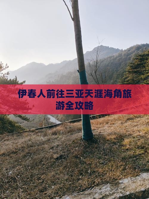 伊春人前往三亚天涯海角旅游全攻略