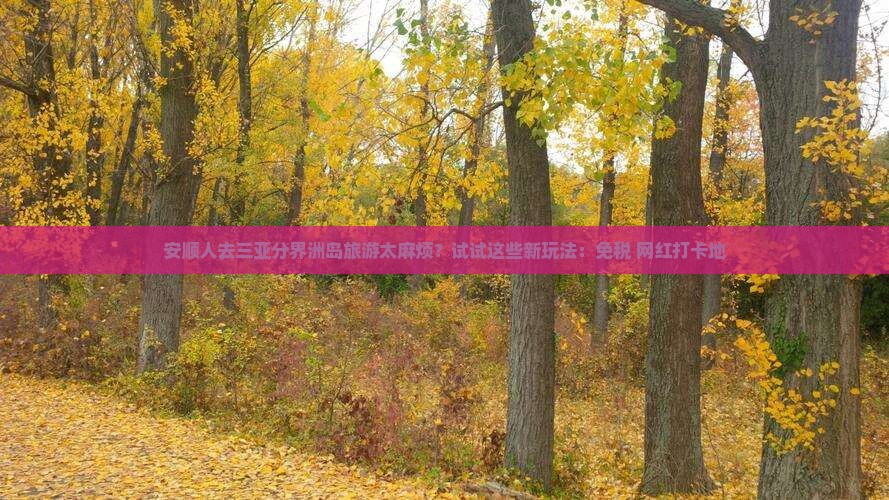 安顺人去三亚分界洲岛旅游太麻烦？试试这些新玩法：免税+网红打卡地