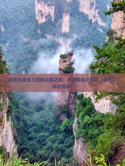 探索北海至三亚的心跳之旅：南湾猴岛三日记，会有怎样的奇遇？
