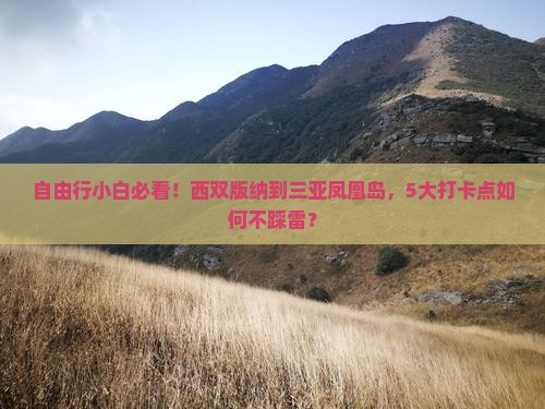自由行小白必看！西双版纳到三亚凤凰岛，5大打卡点如何不踩雷？