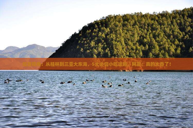 吃货视角：从桂林到三亚大东海，5大必尝小吃攻略，网友：真的太香了！