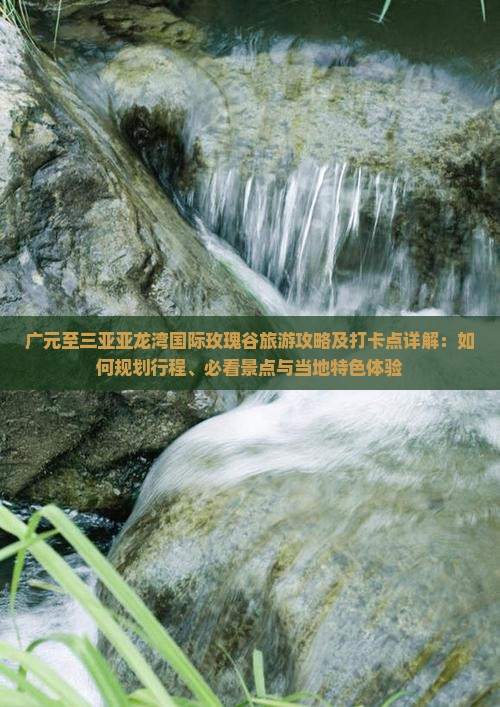 广元至三亚亚龙湾国际玫瑰谷旅游攻略及打卡点详解：如何规划行程、必看景点与当地特色体验