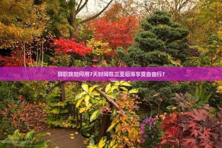 辞职族如何用7天时间在三亚后海享受自由行？