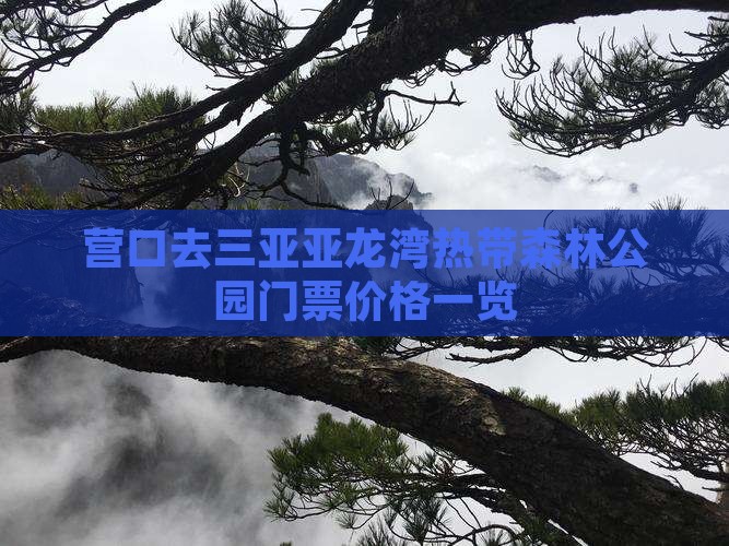 营口去三亚亚龙湾热带森林公园门票价格一览