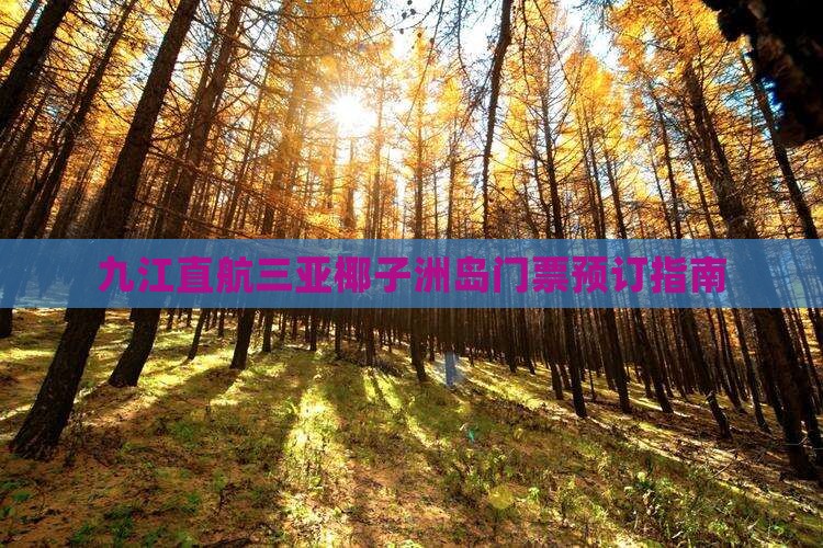 九江直航三亚椰子洲岛门票预订指南