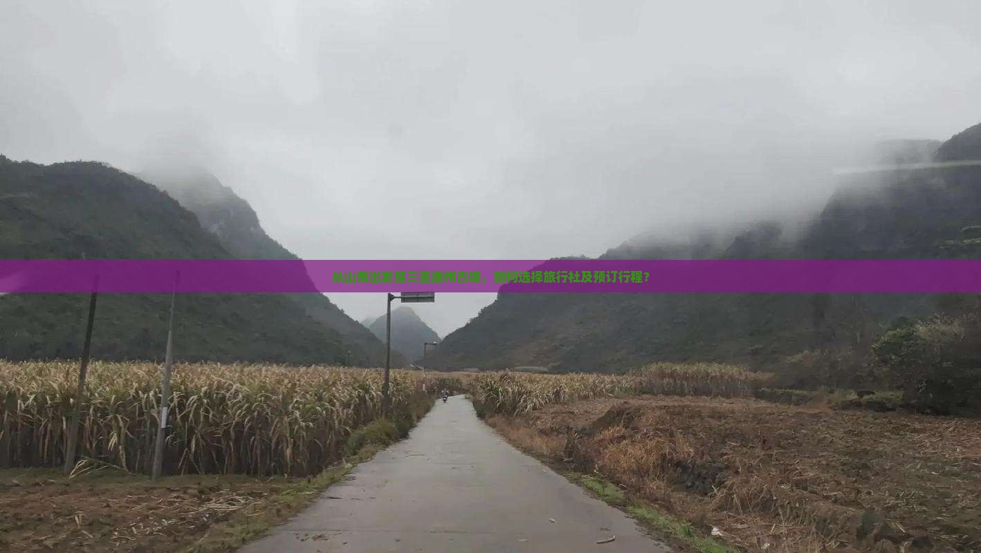 从山南出发至三亚崖州古城，如何选择旅行社及预订行程？