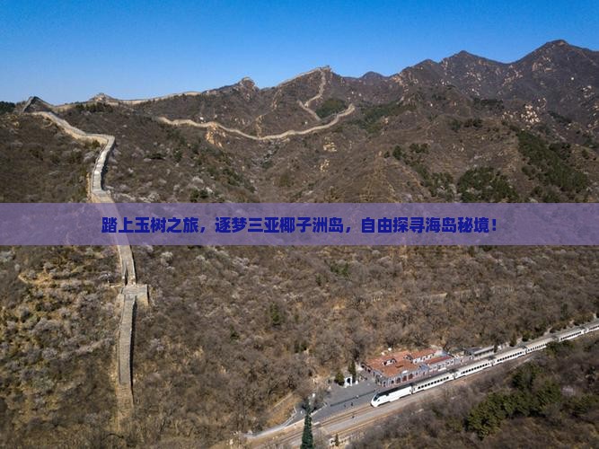 踏上玉树之旅，逐梦三亚椰子洲岛，自由探寻海岛秘境！