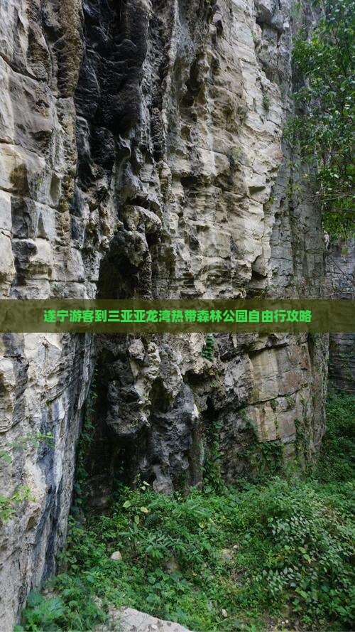 遂宁游客到三亚亚龙湾热带森林公园自由行攻略