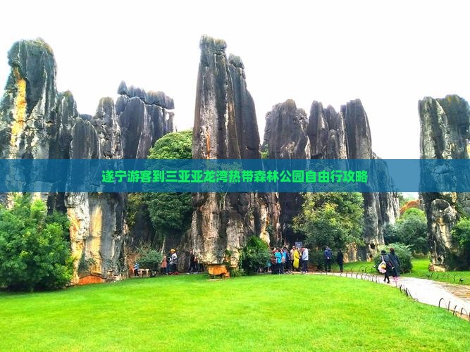 遂宁游客到三亚亚龙湾热带森林公园自由行攻略