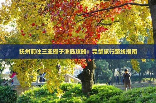 抚州前往三亚椰子洲岛攻略：完整旅行路线指南