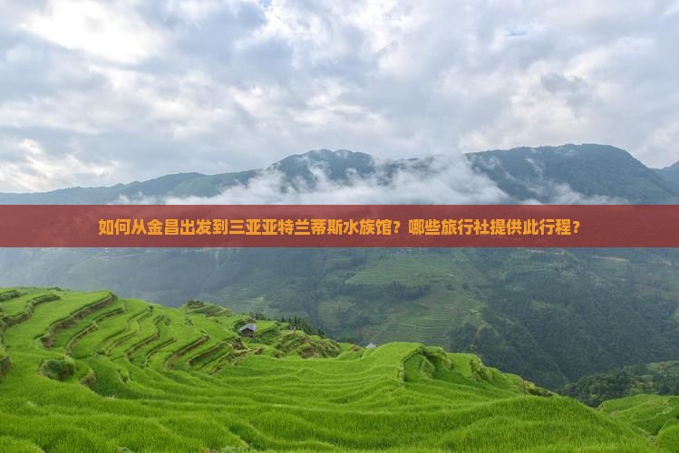 如何从金昌出发到三亚亚特兰蒂斯水族馆？哪些旅行社提供此行程？