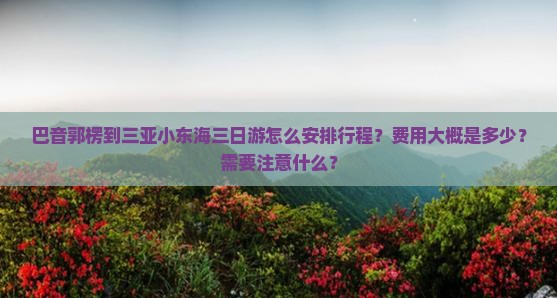 巴音郭楞去三亚小东海三日游 巴音郭楞去三亚小东海三日游