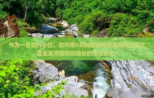 双鸭山前往三亚亚龙湾国际玫瑰谷自由团