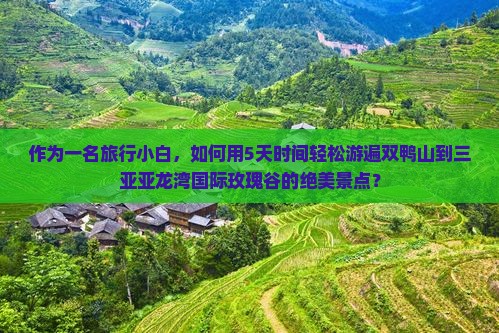 双鸭山前往三亚亚龙湾国际玫瑰谷自由团