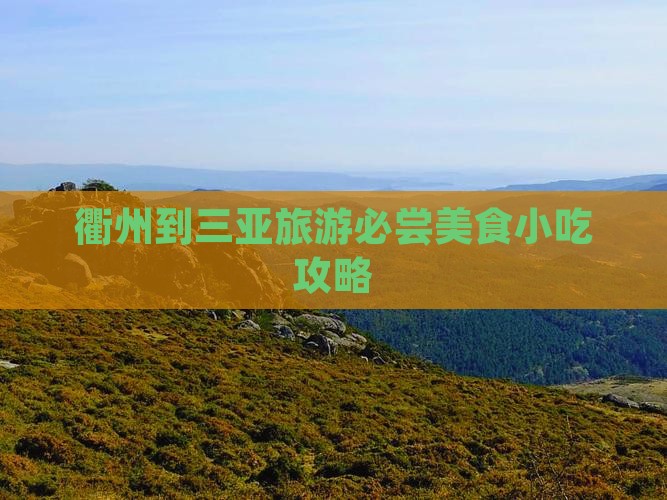 衢州出发三亚天涯海角旅游小吃