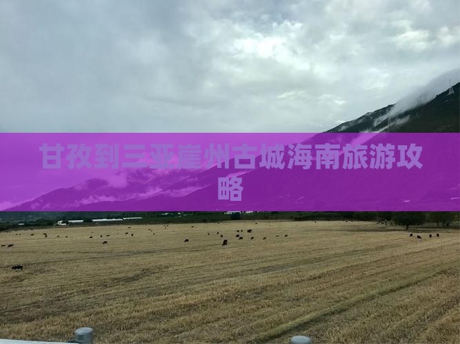 甘孜出发三亚崖洲古城大型旅游团