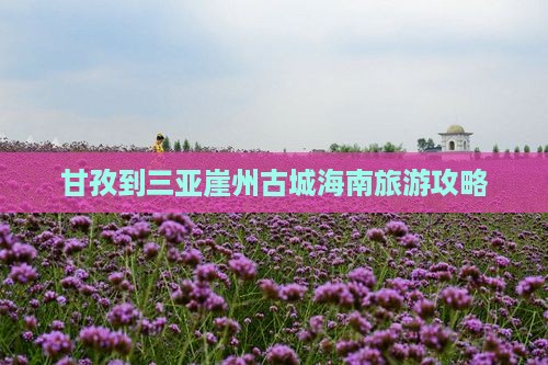 甘孜出发三亚崖洲古城大型旅游团