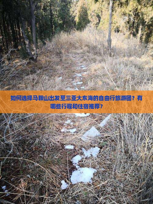 马鞍山去三亚大东海自由团