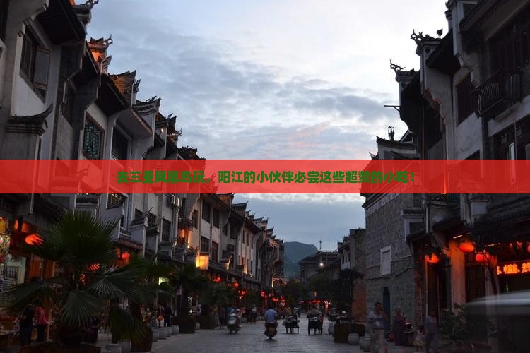 阳江去三亚凤凰岛旅游小吃