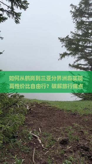 鹤岗去三亚分界洲岛自由行