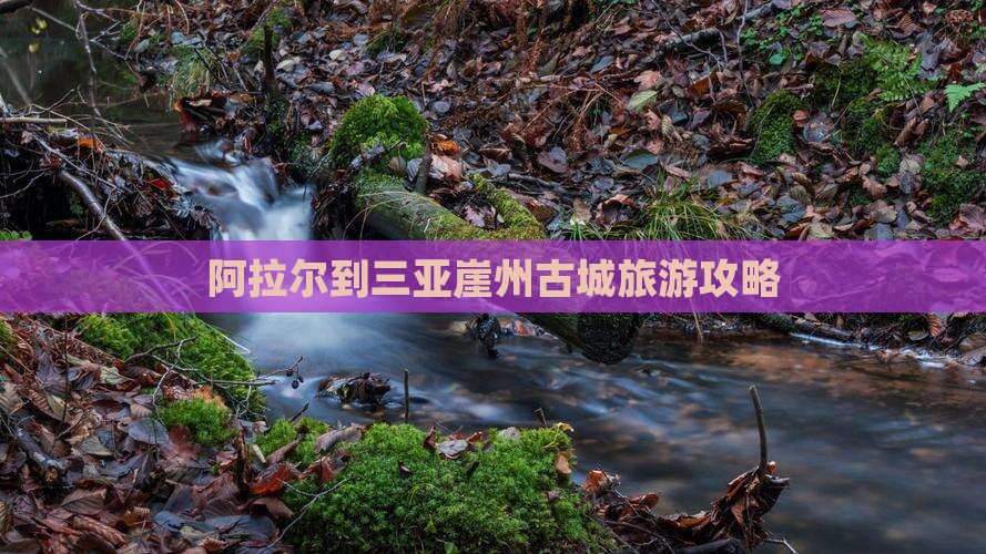 阿拉尔出发三亚崖洲古城攻略