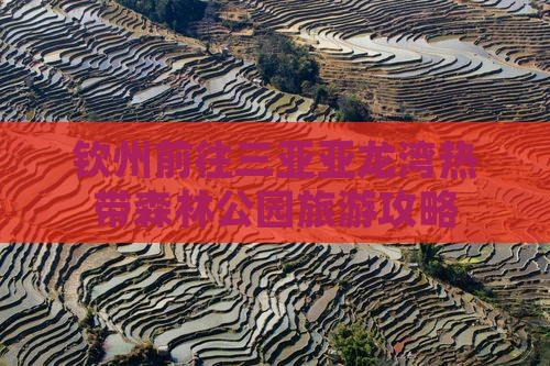 钦州前往三亚亚龙湾热带森林公园旅游