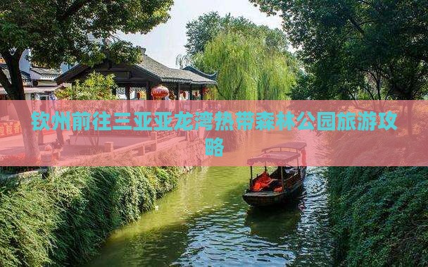 钦州前往三亚亚龙湾热带森林公园旅游