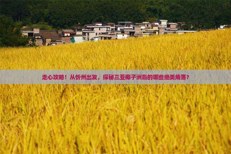 忻州前往三亚椰子洲岛必玩地