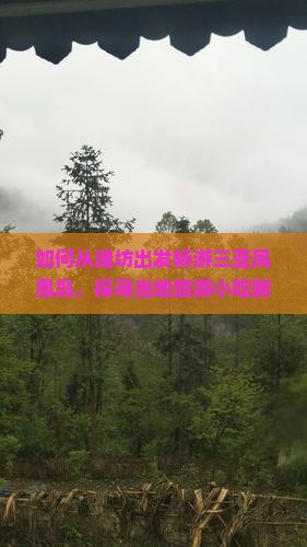 潍坊前往三亚凤凰岛旅游小吃