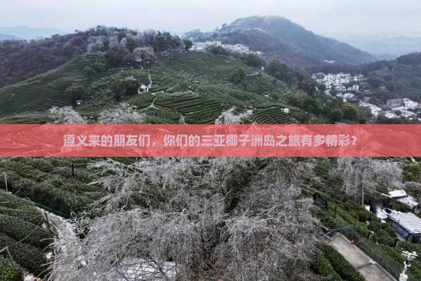 遵义前往三亚椰子洲岛大型旅游团