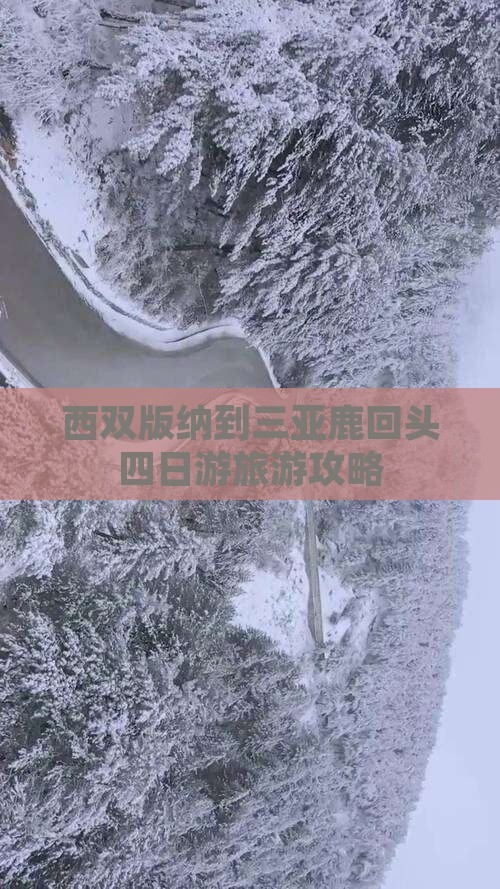 西双版纳去三亚鹿回头四日游
